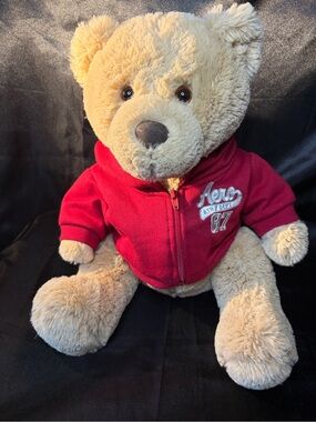 Aeropostale Beige Plush Bear with Red Hoodie 2010 16”
